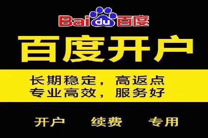 竞价SEM成功案例解析：关键词优化策略